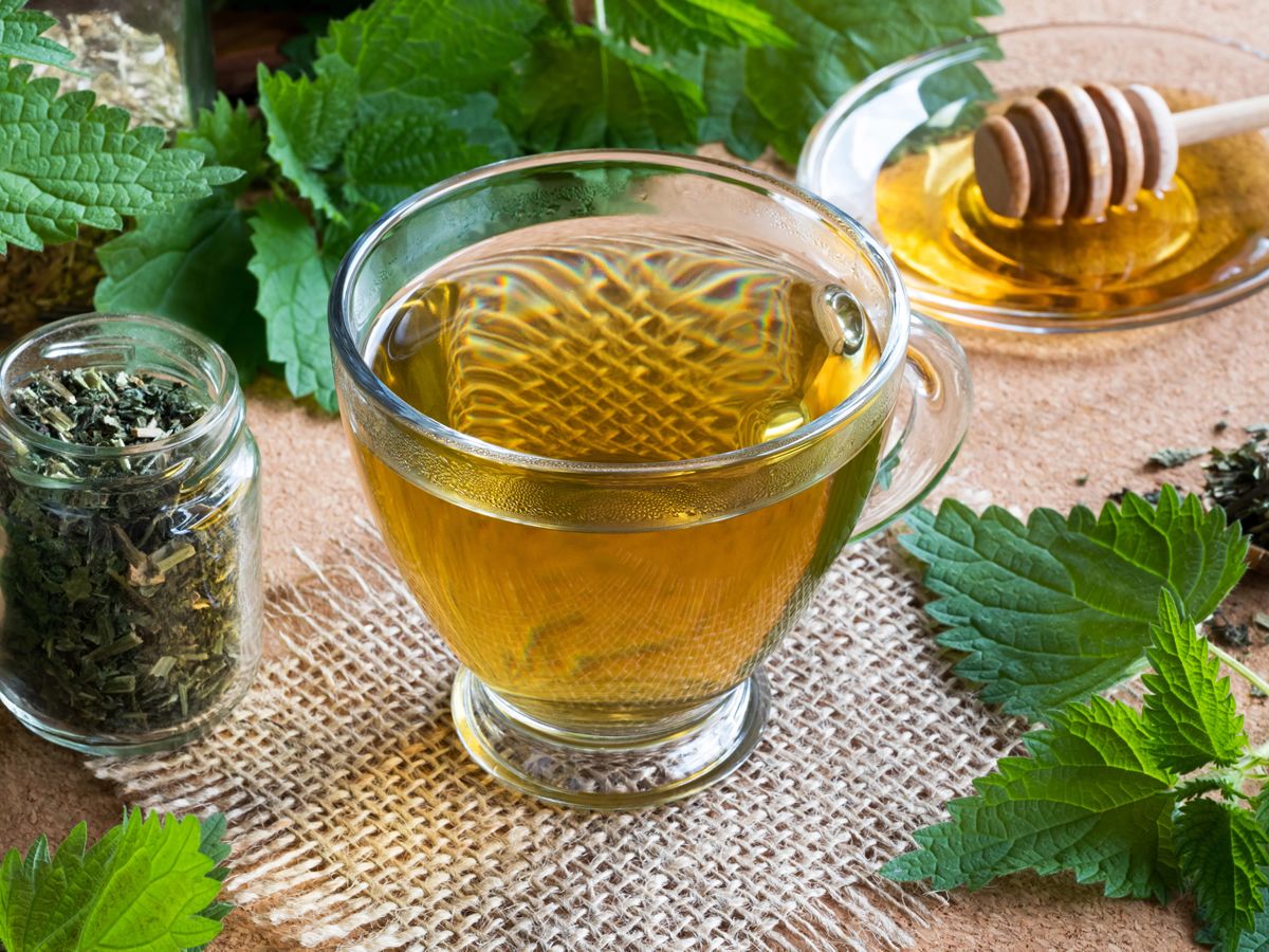 Introduction to Scottish Herbs - Part 1