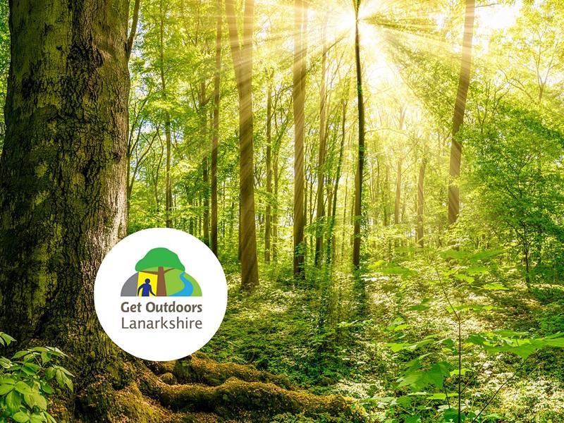 An Introduction to Forest Bathing, Online Event Lanarkshire | What's On ...