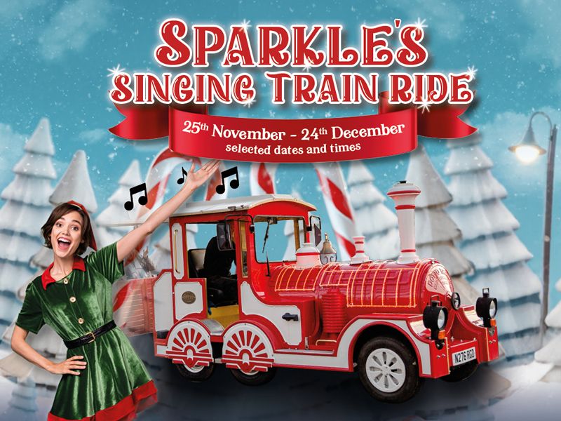Sparkle’s Singing Festive Train Ride