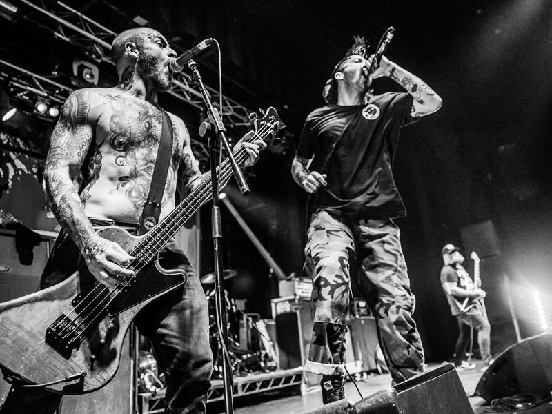 Cancer Bats