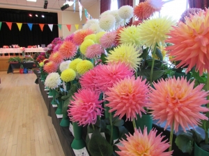 Busby & Clarkston Horticultural Society