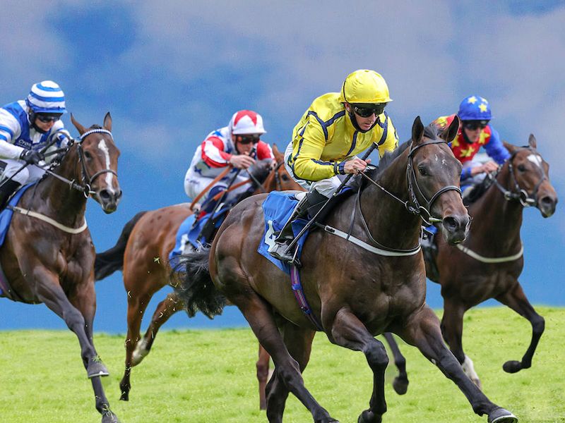Sky Bet Sunday Series Raceday at Hamilton Park Racecourse, Hamilton