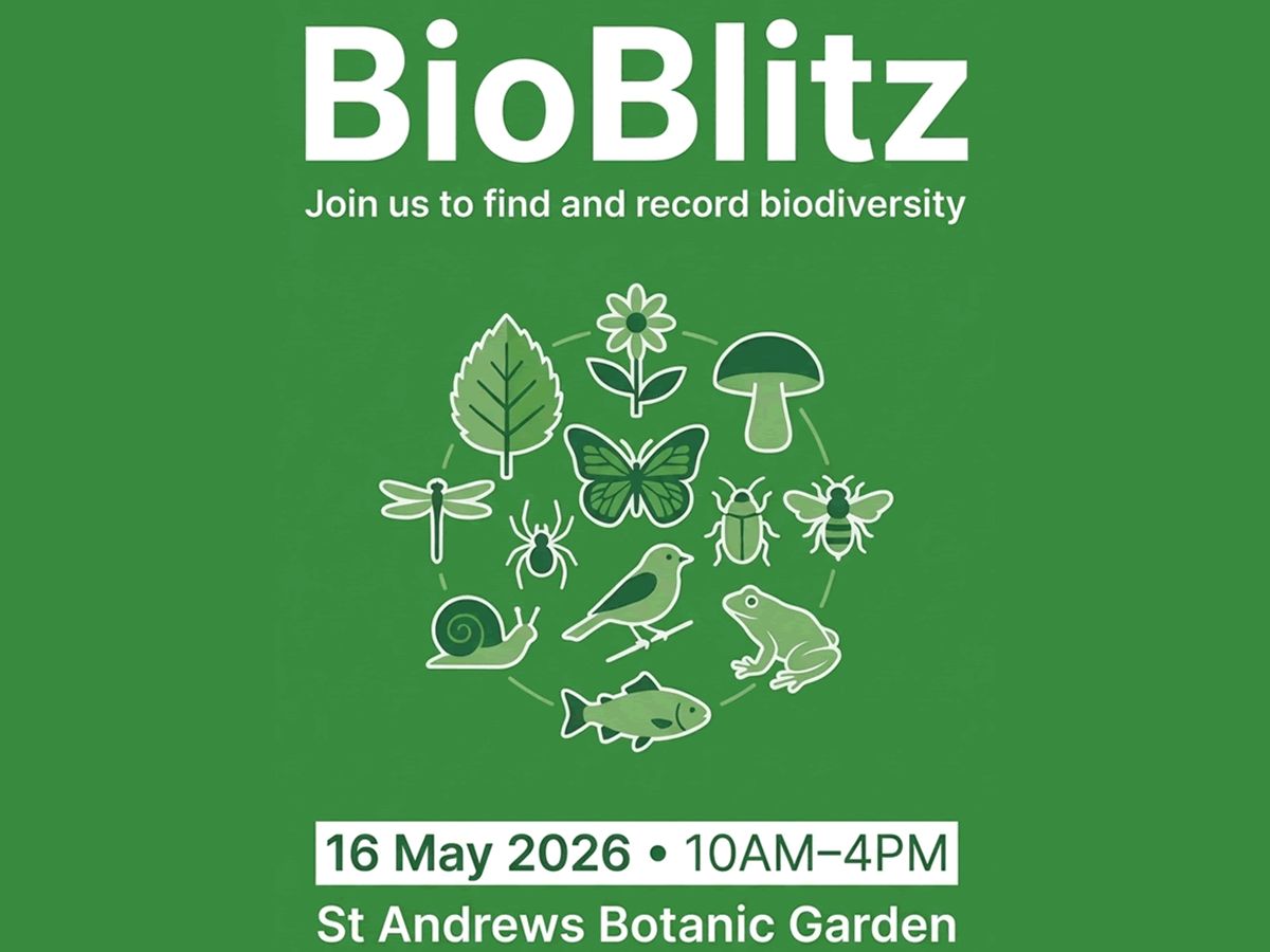 Bioblitz - St Andrews Botanic Garden