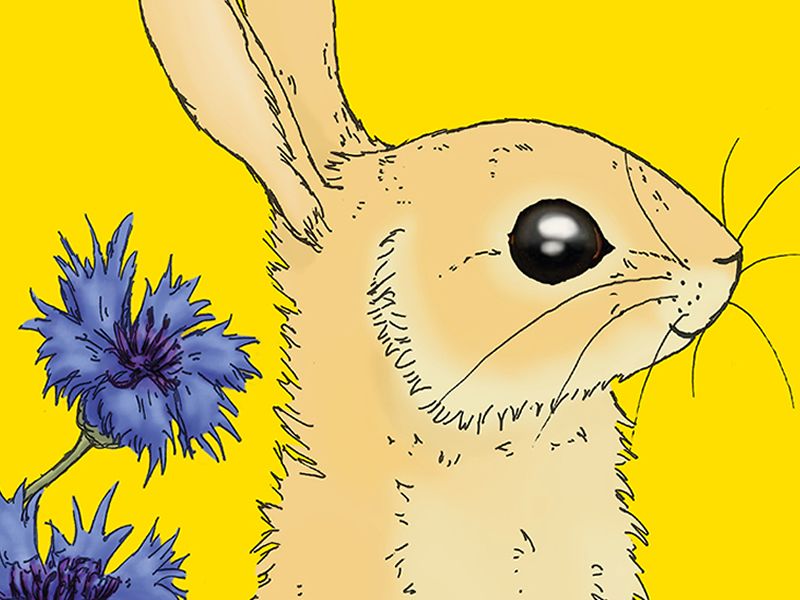 Edinburgh Science Festival: Easter Trail