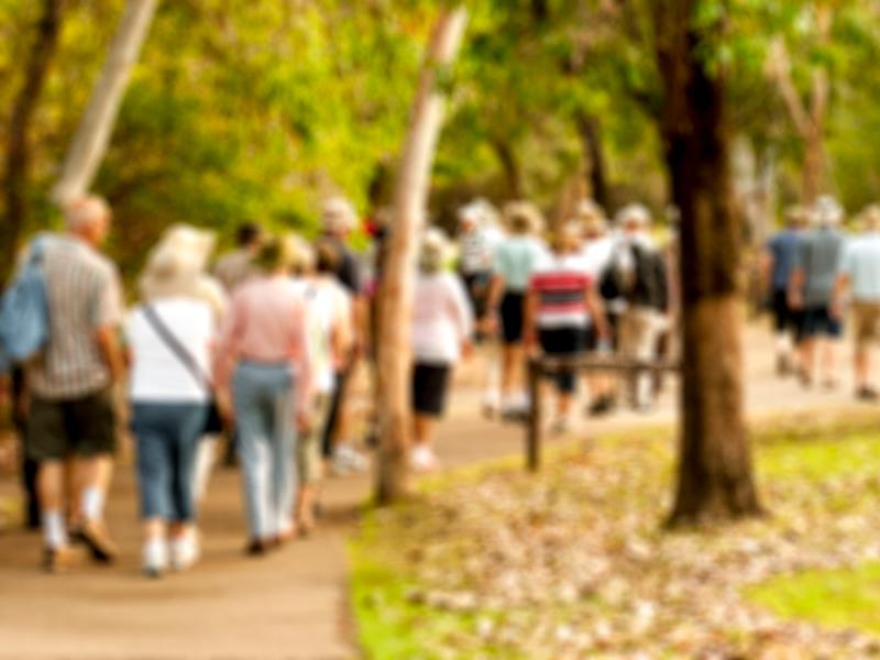 Auchenback Walking Group