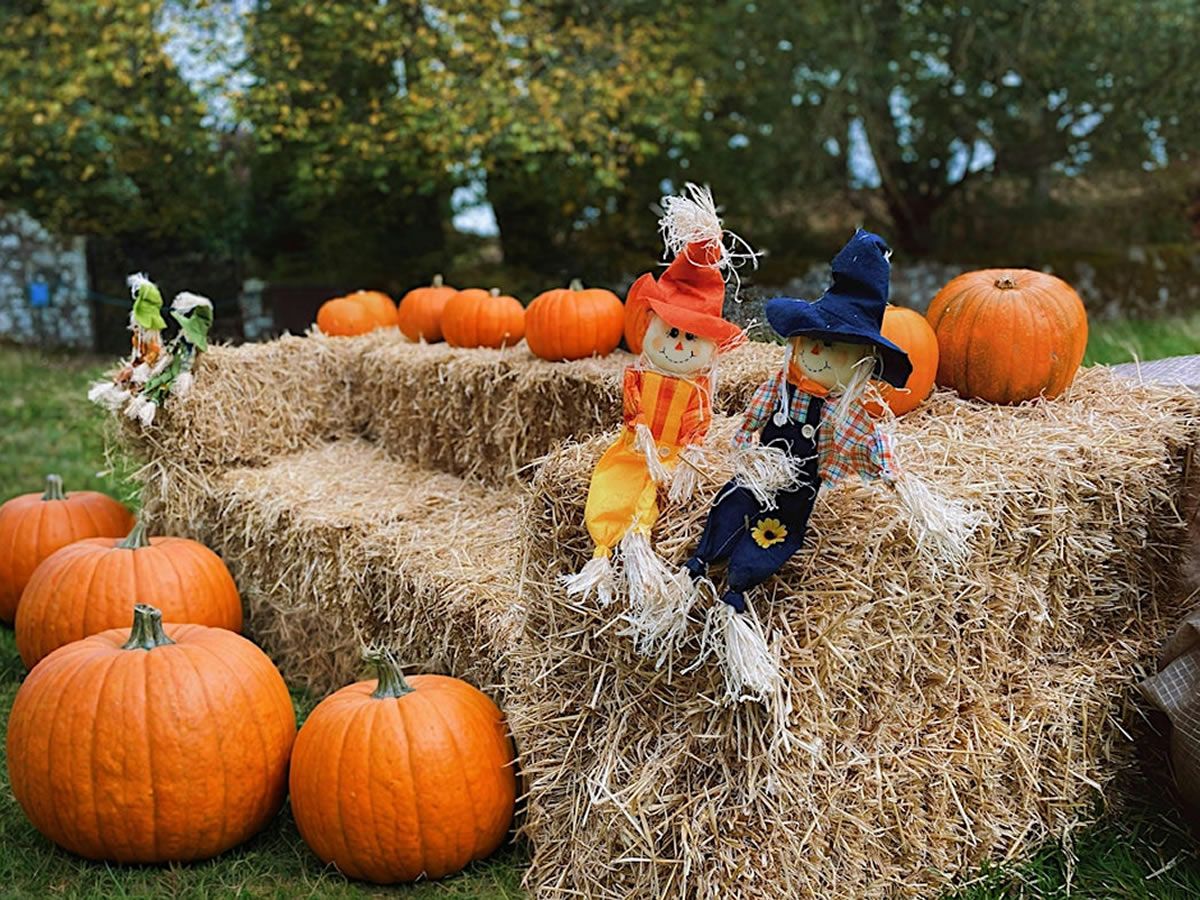 Falkland Palace’s Halloween Trail