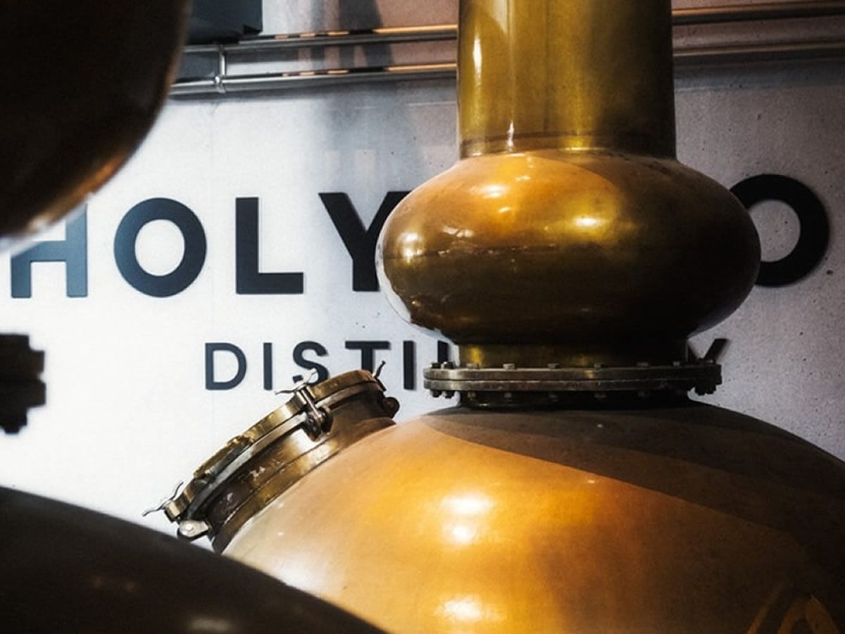 Visit Holyrood Distillery