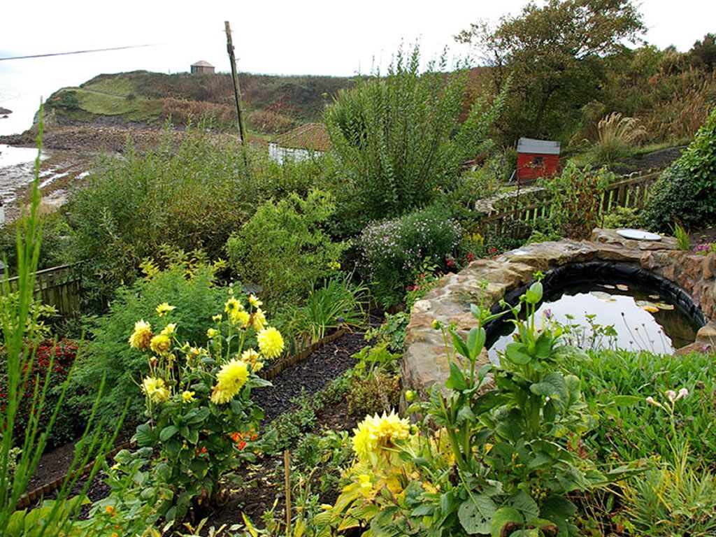 Scotland’s Gardens Scheme Open Garden: Pittenweem: Gardens in the Burgh