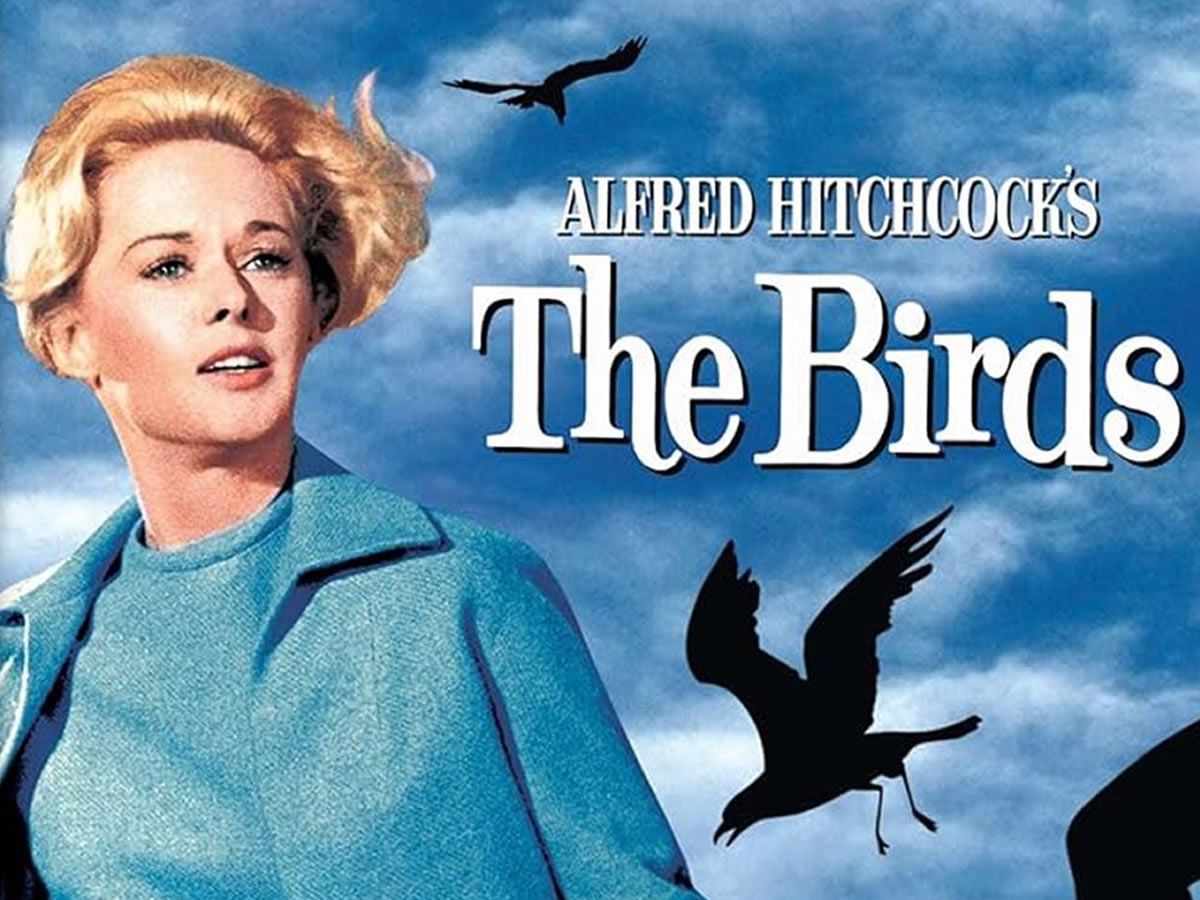 The Birds (15)