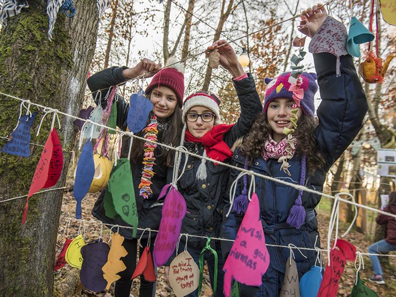 Celebrate National Tree Week in Craigmillar Castle Park this weekend