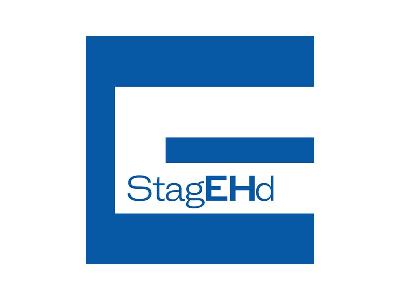 StagEHd Festival