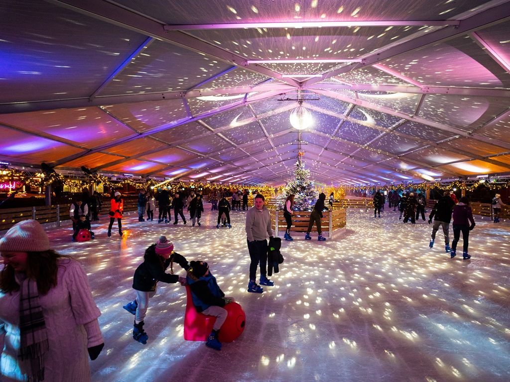 Elfingrove on Ice for 2023