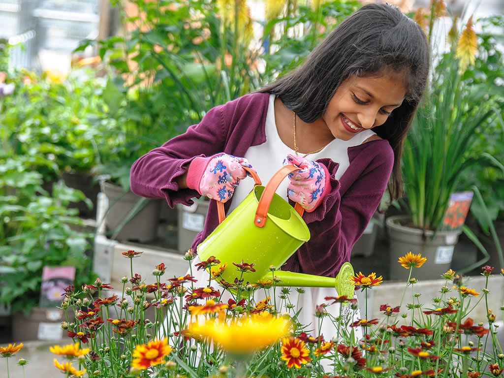 Free activities for kids this Summer at Dobbies