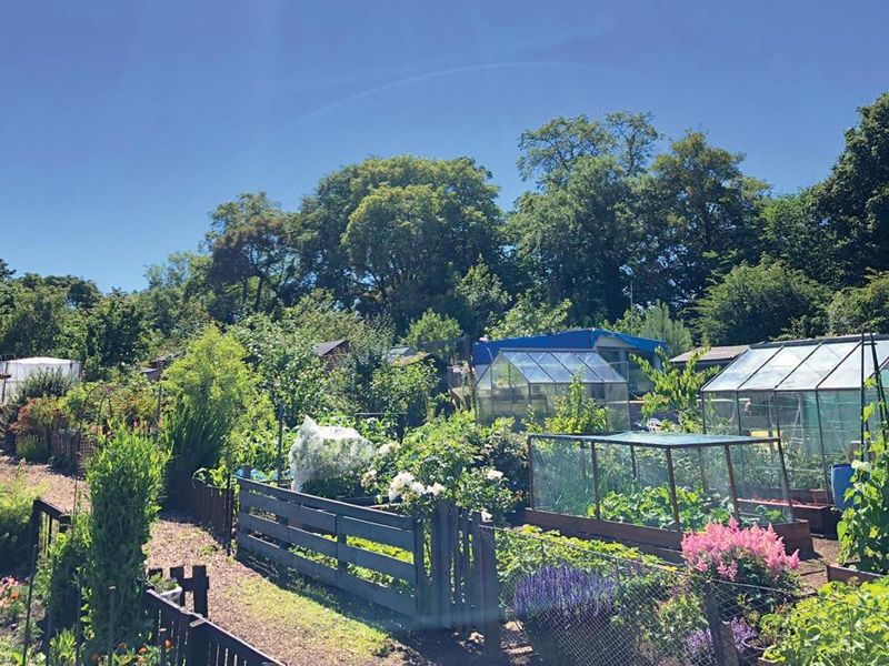 Sir John Stirling Maxwell Allotment Gardens Open Day