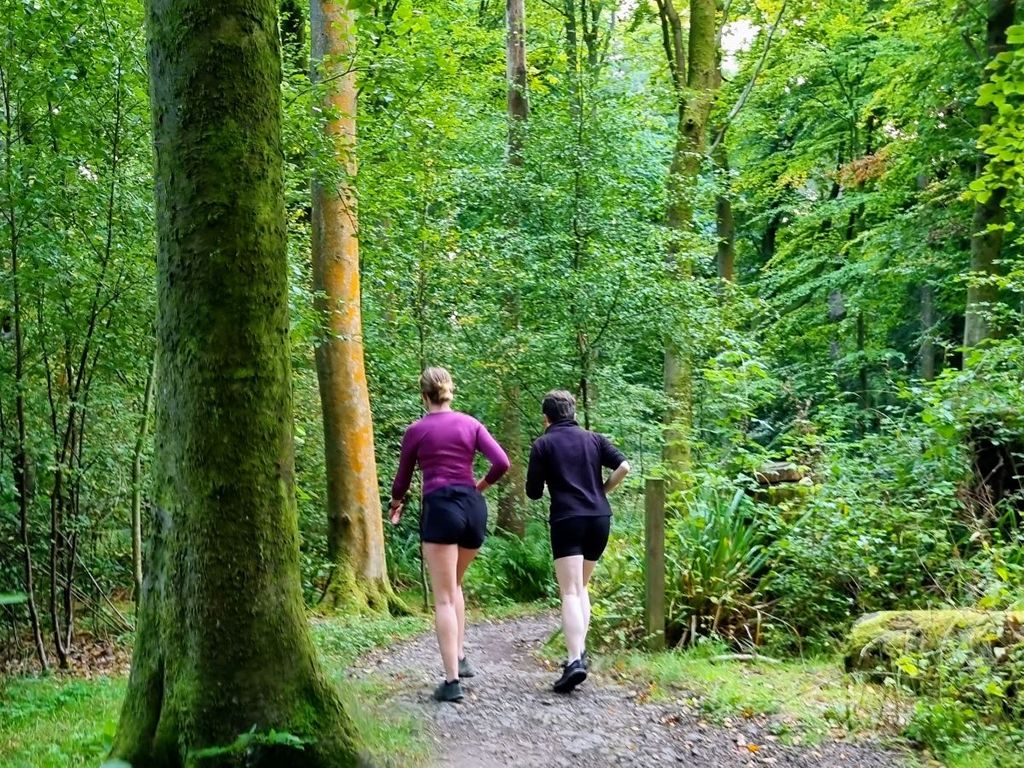 Guided Trail Running