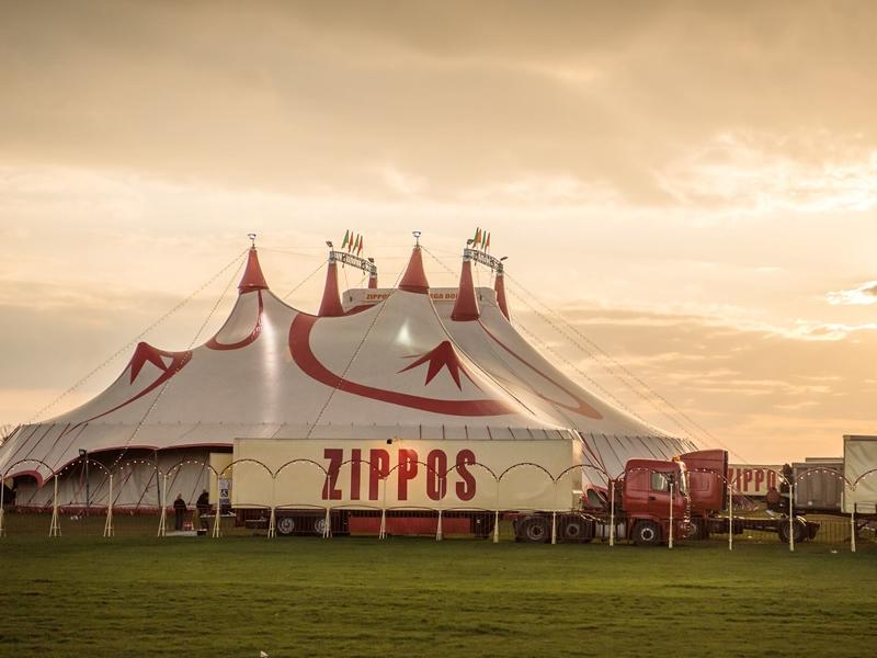 Zippos Circus at Falkirk Stadium