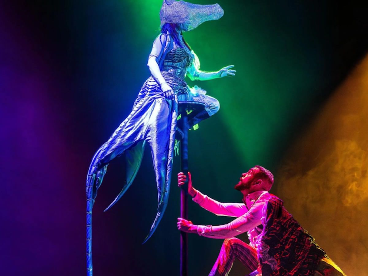 The Unlikely Friendship of Feather Boy and Tentacle Girl