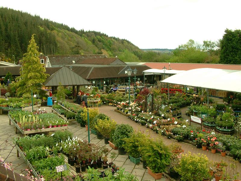 Cardwell Garden Centre