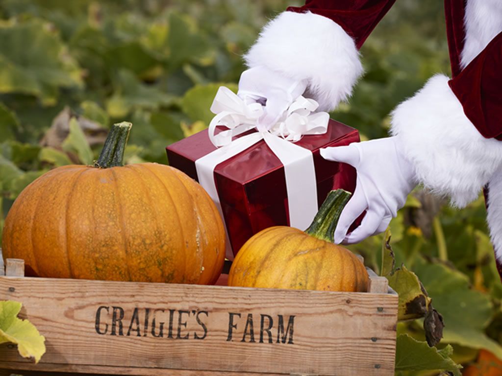 Experience the Magic of Christmas at Craigies Santa Adventure