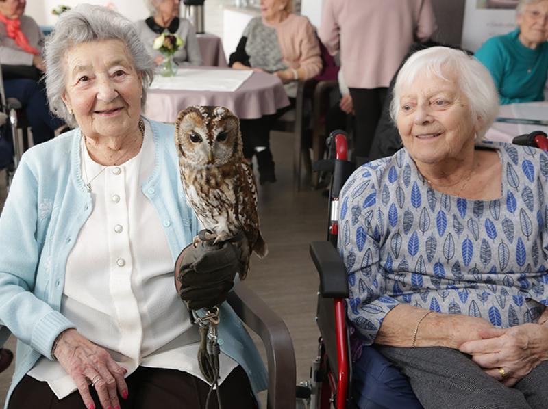 Edinburgh care homes residents spread their wings to celebrate the best of British birds