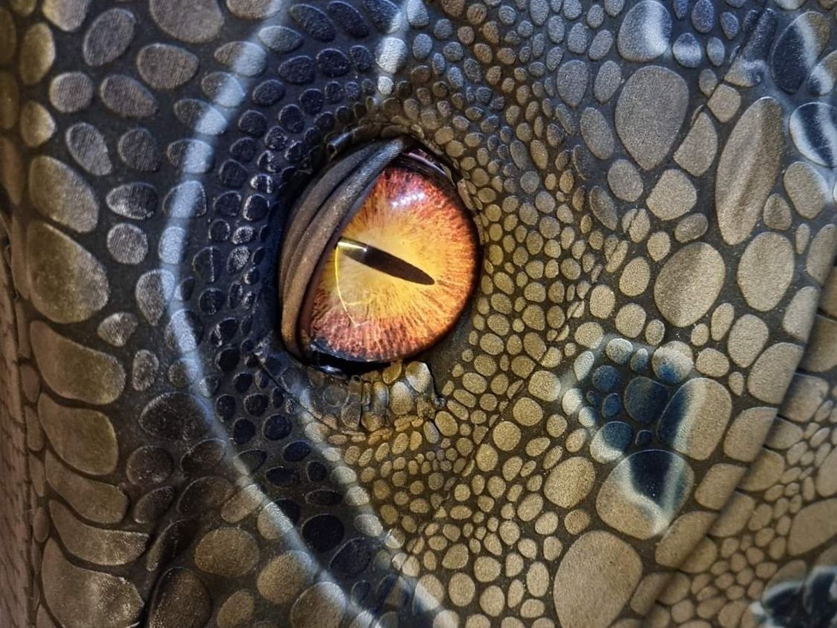 Raptor World