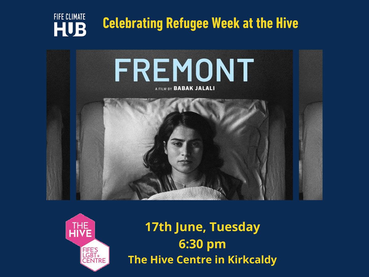 Celebrating Refugee Week at the Hive