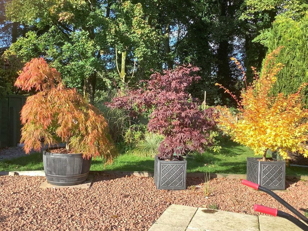 Scotland’s Gardens Scheme Open Garden: 18 Buchany