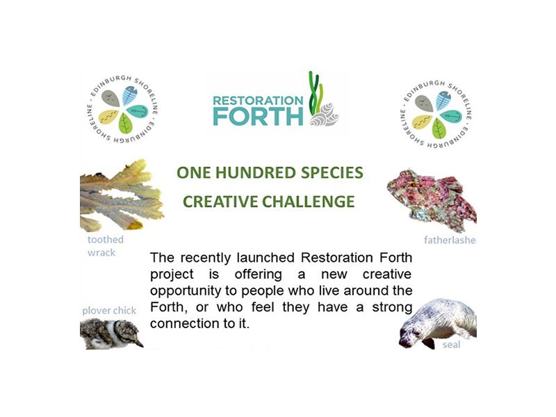 Edinburgh Shoreline - 100 Species Project