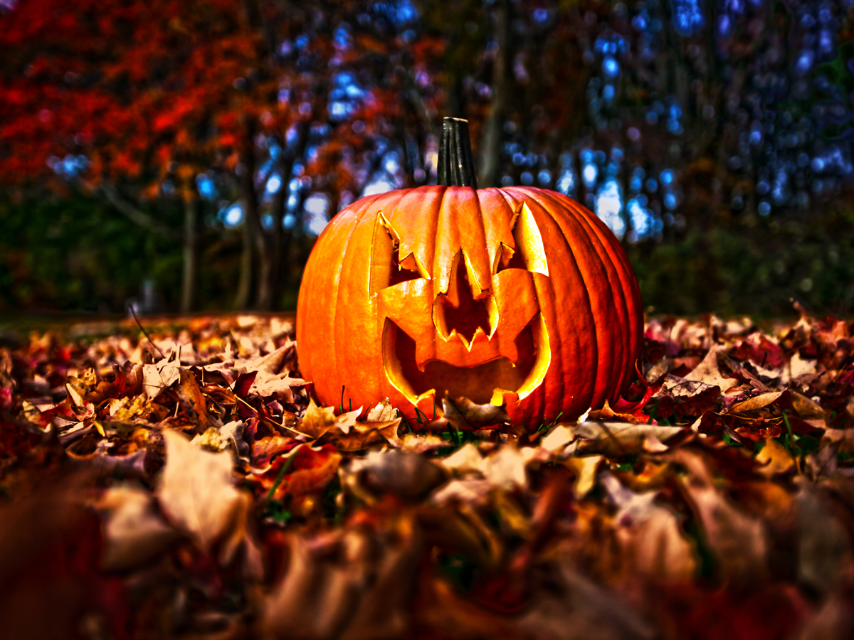Halloween Events in Glasgow